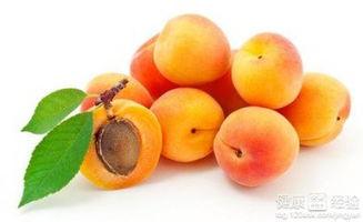 孕妇可以吃杏瓜,杏瓜的营养与适宜食用指南