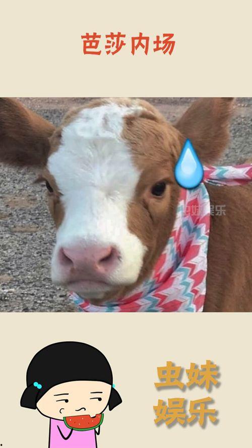 抖音心脏吃瓜,揭秘网红美食背后的秘密