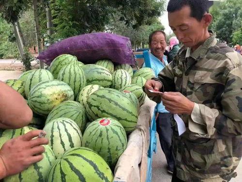 吃瓜罢产品,轻松享受夏日清凉新选择