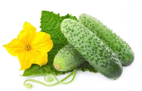 专属吃瓜系统短剧,笑料百出，揭秘娱乐圈幕后风云