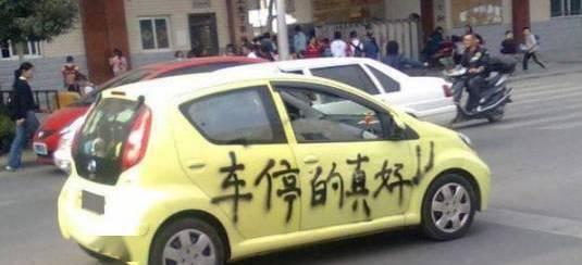 车车贴纸吃瓜喵,趣味横生的汽车文化新潮流