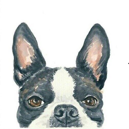 狗头吃瓜情侣头像