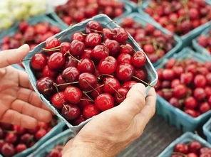 樱沐吃瓜,揭秘娱乐圈那些不为人知的幕后故事