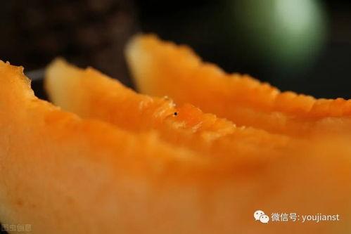 吃瓜群众的瓜仅剩一勺,揭秘娱乐圈风云