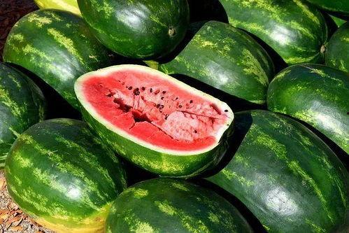 免费吃瓜摊,街头美食盛宴，畅享夏日清凉